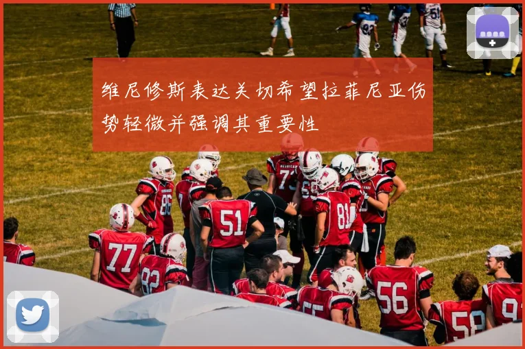 维尼修斯表达关切希望拉菲尼亚伤势轻微并强调其重要性